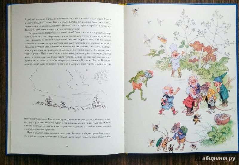 Иллюстрация 78 из 78 для В стране гномов - Эрих Хайнеманн | Лабиринт - книги. Источник: Natalie Leigh