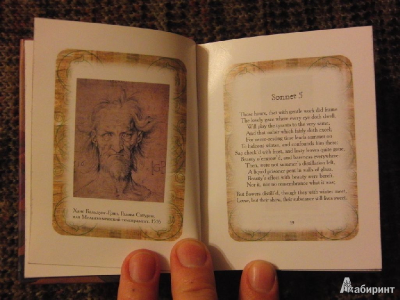 Иллюстрация 5 из 16 для Сонеты - Уильям Шекспир | Лабиринт - книги. Источник: katalina-forget