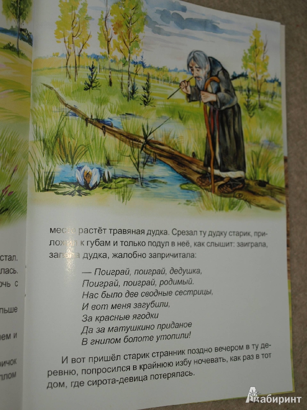Иллюстрация 14 из 16 для Волшебная дудочка | Лабиринт - книги. Источник: Гусева  Анна Сергеевна