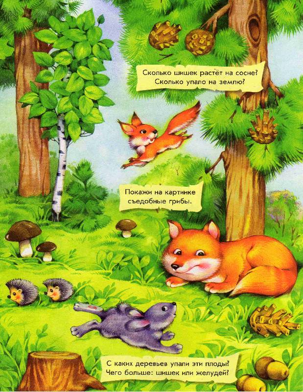 Иллюстрация 2 из 12 для О животных. Полезная книжка - Юлия Каспарова | Лабиринт - книги. Источник: С  М В