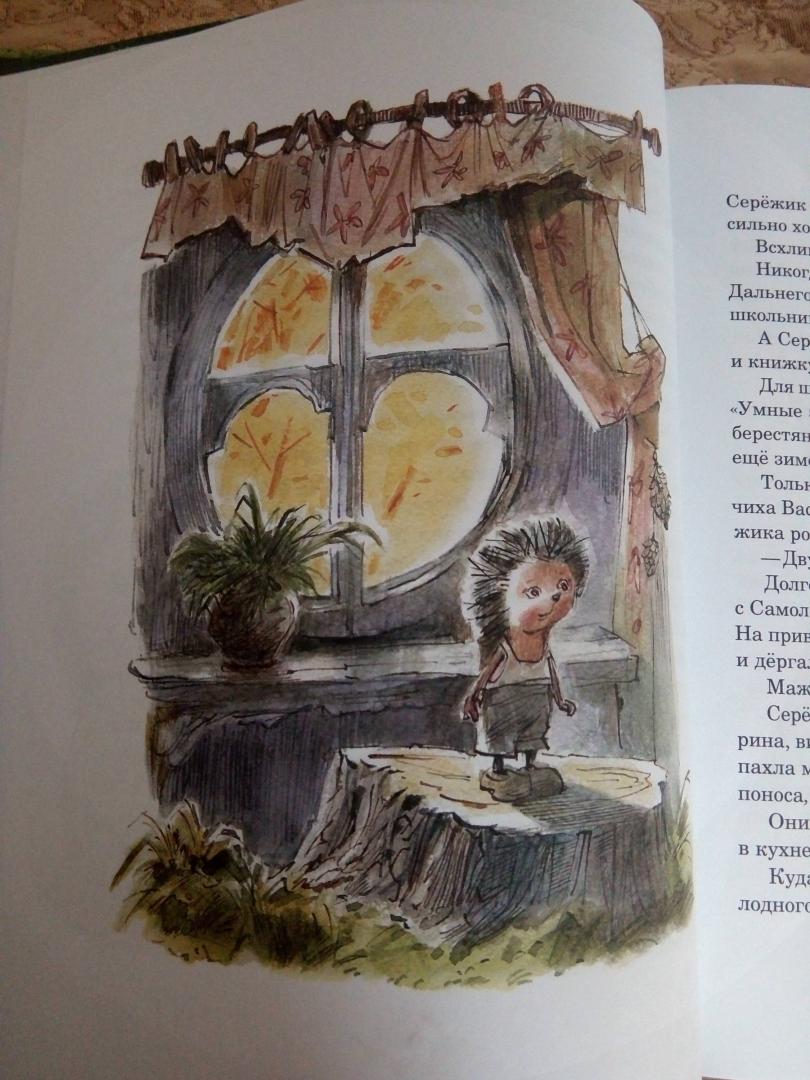 Иллюстрация 214 из 224 для Серёжик - Елена Ракитина | Лабиринт - книги. Источник: Козлова  Алла