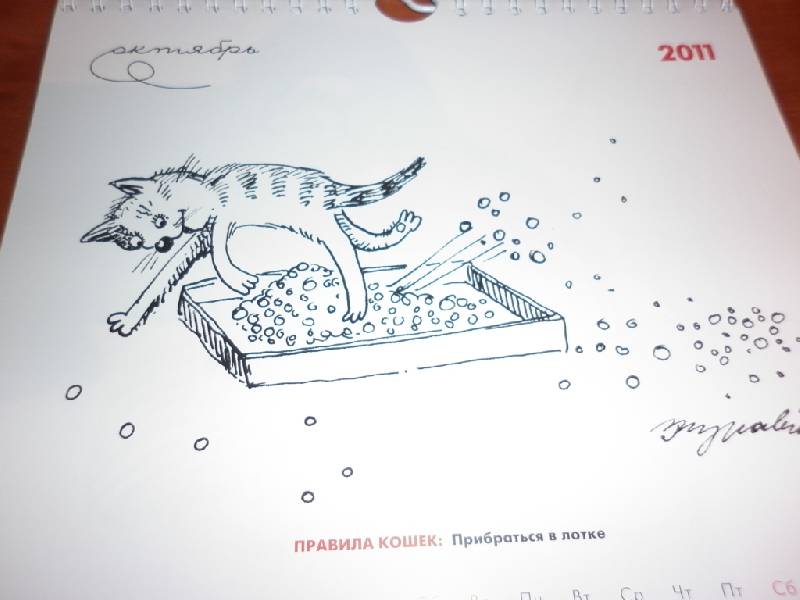 Иллюстрация 12 из 14 для Перекидной календарь на 2011 год "Новые правила кошек" | Лабиринт - сувениры. Источник: alalikovna