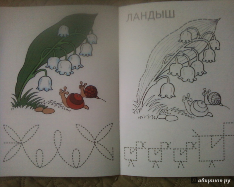 Иллюстрация 23 из 37 для Олененок - И. Медеева | Лабиринт - книги. Источник: Родионова  Надежда