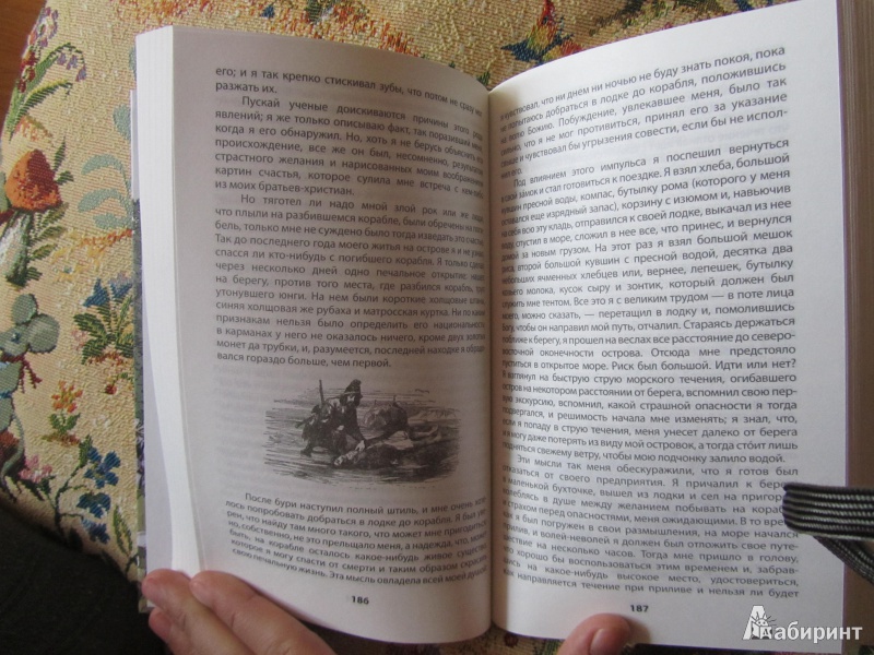 Иллюстрация 15 из 38 для Робинзон Крузо. Дальнейшие приключения Робинзона Крузо - Даниель Дефо | Лабиринт - книги. Источник: Федяй  Светлана