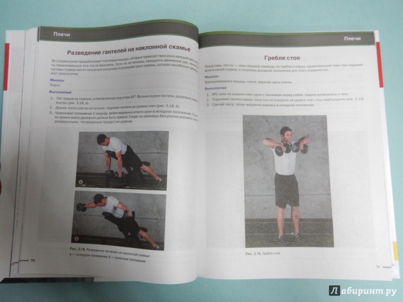 Иллюстрация 7 из 20 для Бодибилдинг. Силовые упражнения и планы тренировок - Рэй Клерк | Лабиринт - книги. Источник: dbyyb