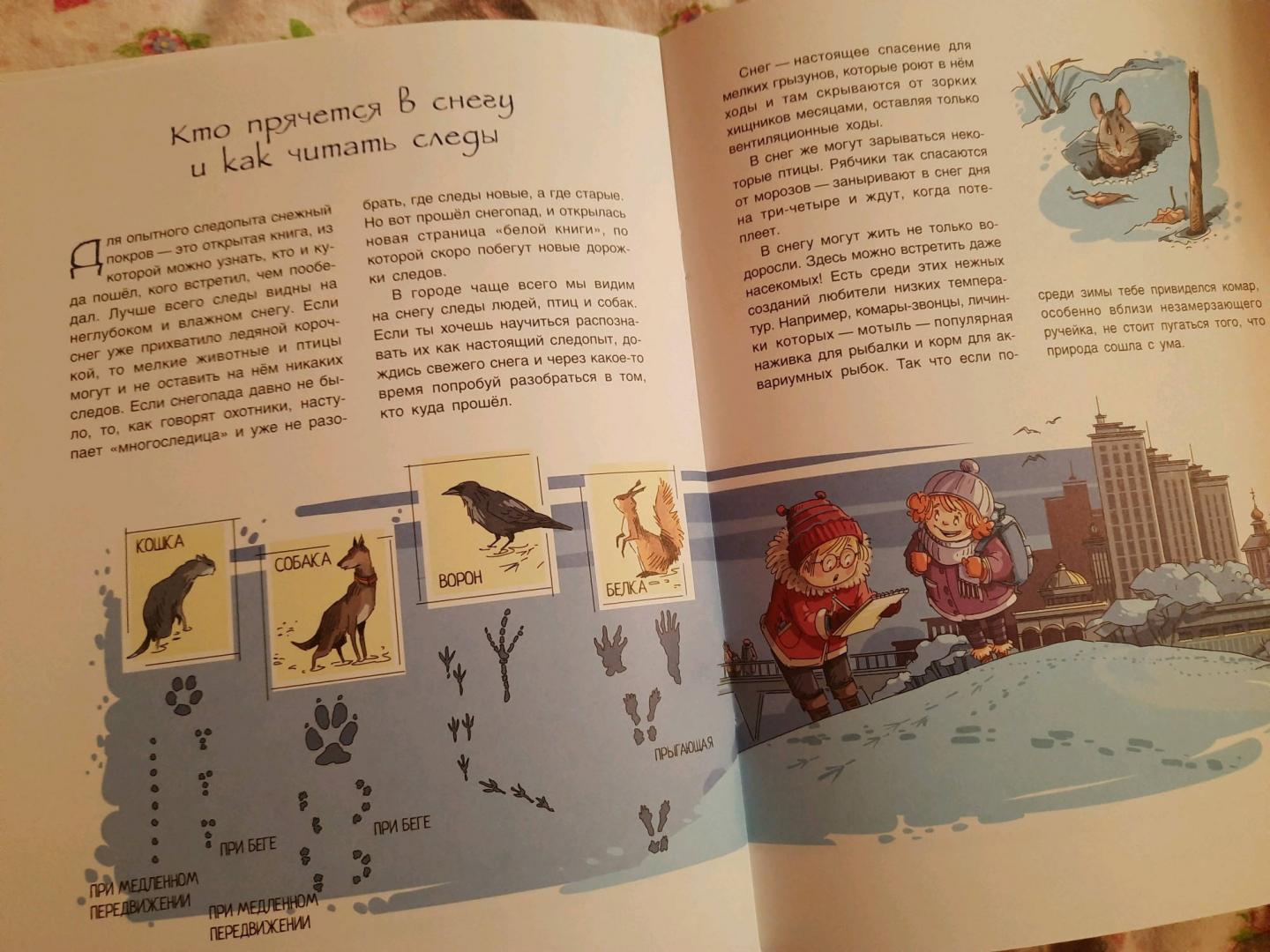Иллюстрация 34 из 41 для История снежинки, или Чудо на рукавице - Юлия Смирнова | Лабиринт - книги. Источник: Лабиринт