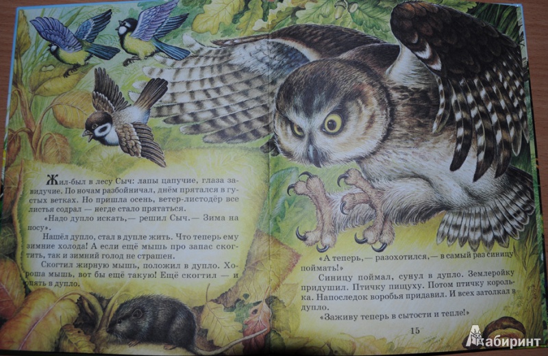 Иллюстрация 7 из 9 для Лесные сказки - Николай Сладков | Лабиринт - книги. Источник: Ирина Гришаева