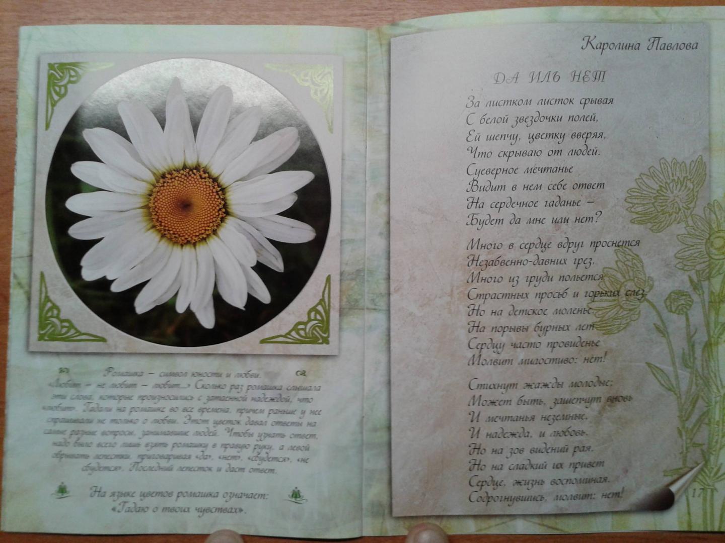 Иллюстрация 13 из 22 для Цветы к празднику | Лабиринт - книги. Источник: Старостин  Евгений