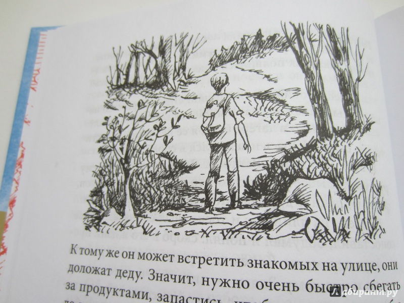 Тема произведения легкие горы михеева. Иллюстрация к книге легкие горы. Легкие горы книга.