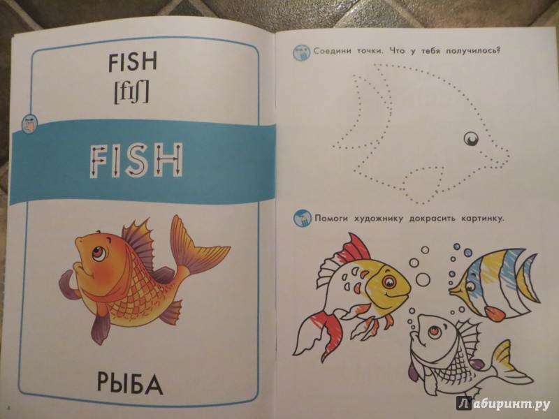 Иллюстрация 4 из 7 для Жители подводного мира. Пособие для детей 3-6 лет | Лабиринт - книги. Источник: love.russul