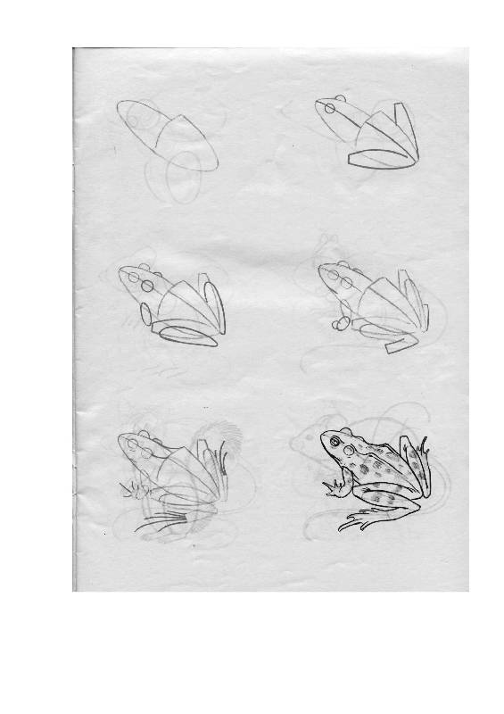 Иллюстрация 13 из 24 для Рисуем 50 животных - Ли Эймис | Лабиринт - книги. Источник: Юта