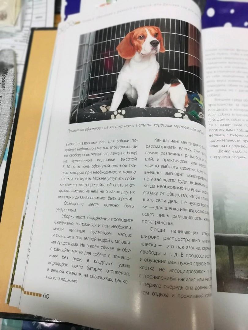 Иллюстрация 15 из 30 для Дрессировка и воспитание собаки - Андрей Шкляев | Лабиринт - книги. Источник: inessik