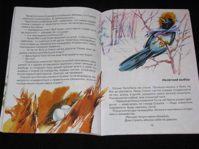 Иллюстрация 22 из 26 для Удачная находка Сороки-белобоки - Светлана Ананич | Лабиринт - книги. Источник: Nemertona