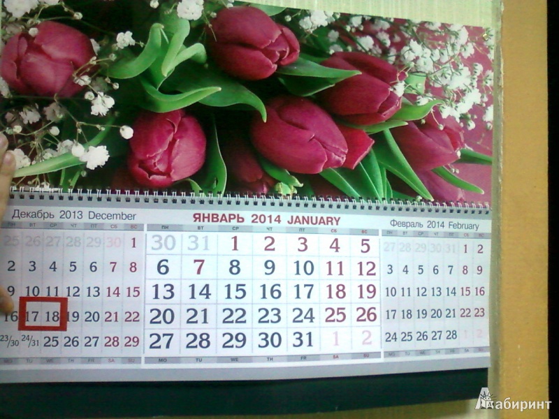 Иллюстрация 4 из 6 для Квартальный календарь на 2014 год "Тюльпаны" (31998) | Лабиринт - сувениры. Источник: lettrice