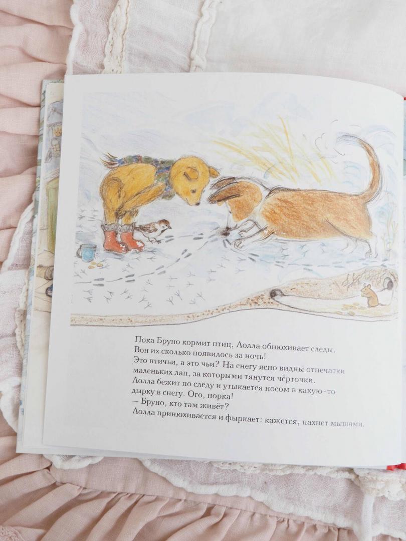 Иллюстрация 47 из 54 для Зима мишки Бруно - Гунилла Ингвес | Лабиринт - книги. Источник: Шурыгина  Татьяна