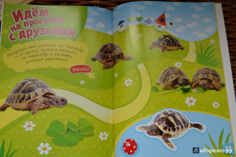 Иллюстрация 18 из 18 для Моя милая черепаха | Лабиринт - книги. Источник: ИрМур