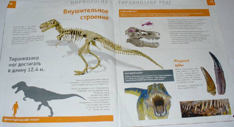 Иллюстрация 4 из 5 для Мир динозавров №2 | Лабиринт - книги. Источник: Лебедева  Мария Александровна
