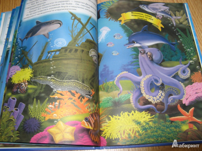 Иллюстрация 6 из 22 для Приключения Дельфинчика и его друзей - Синичкин, Конфеткина | Лабиринт - книги. Источник: Лунный кот