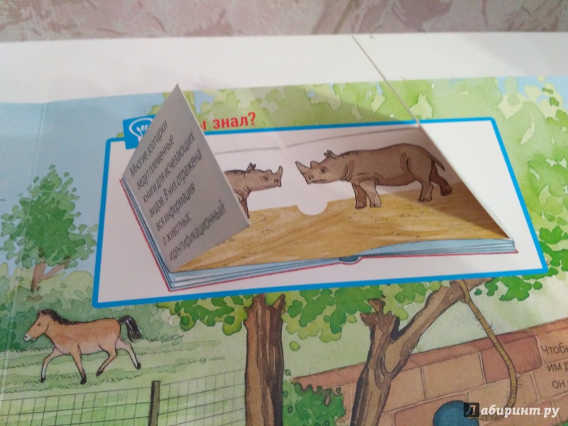 Иллюстрация 40 из 40 для Животные в зоопарке - Забине Шук | Лабиринт - книги. Источник: Самкнулова  Ольга