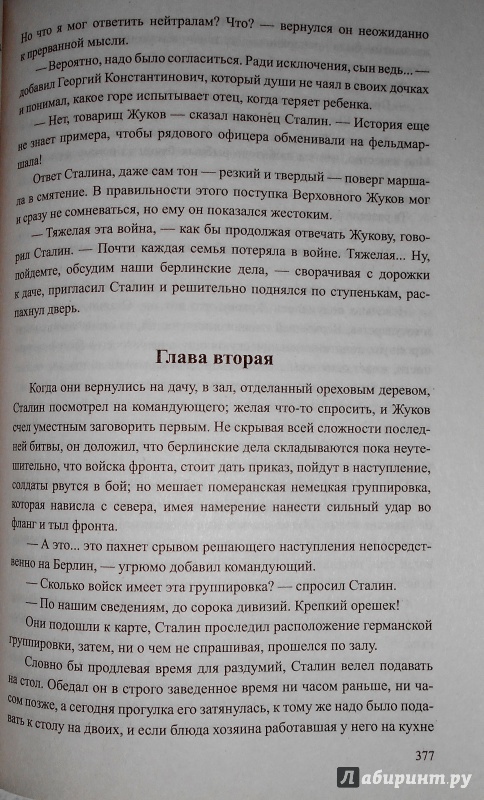 Иллюстрация 17 из 17 для Избавление - Василий Соколов | Лабиринт - книги. Источник: Laki