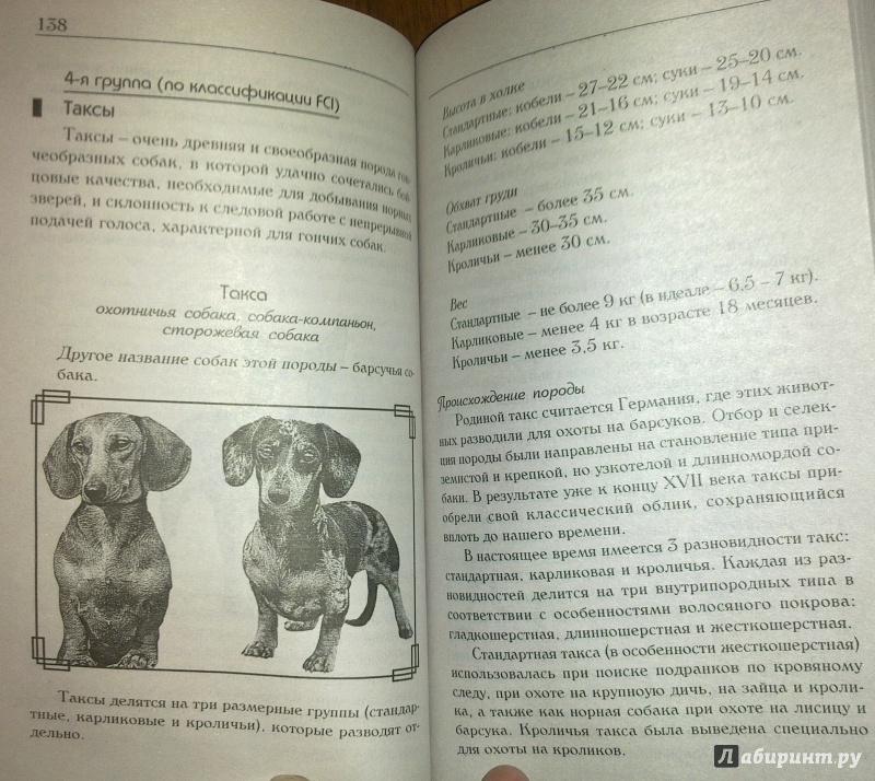 Иллюстрация 8 из 29 для Знакомьтесь, это ваша собака! | Лабиринт - книги. Источник: Татьяна Г.