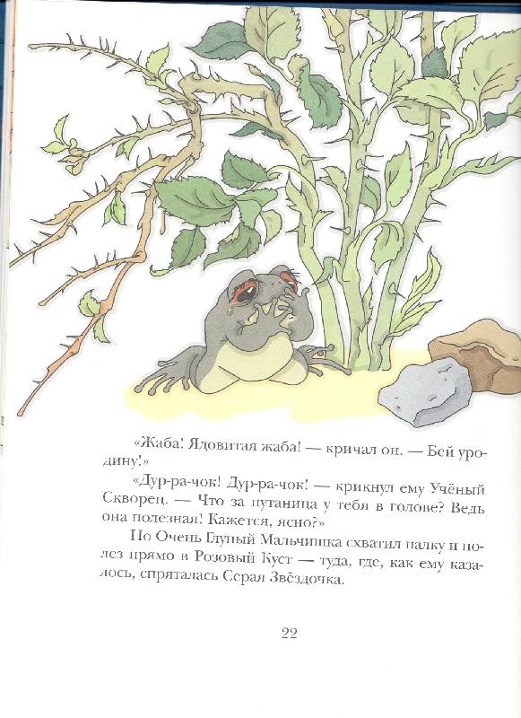 Иллюстрация 73 из 83 для Серая Звёздочка - Борис Заходер | Лабиринт - книги. Источник: Стрекоза