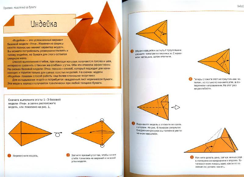Иллюстрация 14 из 16 для Оригами. Животные из бумаги - Дэвид Митчелл | Лабиринт - книги. Источник: Росинка
