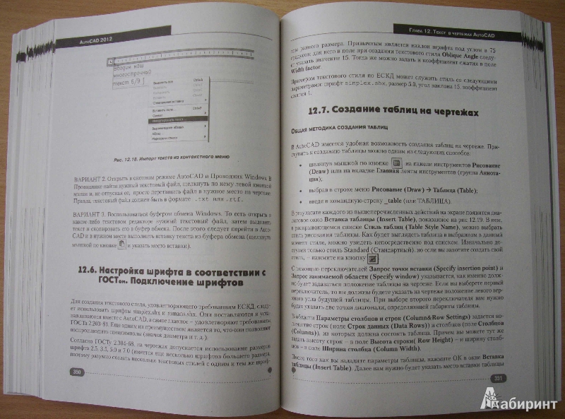 Иллюстрация 6 из 8 для AutoCAD 2012 (+DVD с библиотеками, шрифтами по ГОСТ, модулем СПДС от Autodesk, форматками...) - Жарков, Прокди, Финков | Лабиринт - книги. Источник: Спящая на ходу