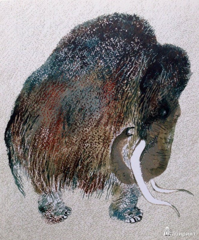 Иллюстрация 19 из 30 для Невиданные звери - Никита Чарушин | Лабиринт - книги. Источник: Xikary