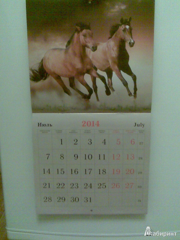 Иллюстрация 7 из 9 для Календарь 2014 "Символ года. Прекрасные лошади" (КС121401) | Лабиринт - сувениры. Источник: Tanajkan