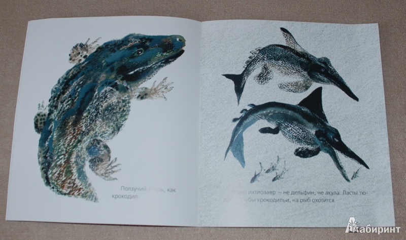 Иллюстрация 6 из 30 для Невиданные звери - Никита Чарушин | Лабиринт - книги. Источник: Книжный кот