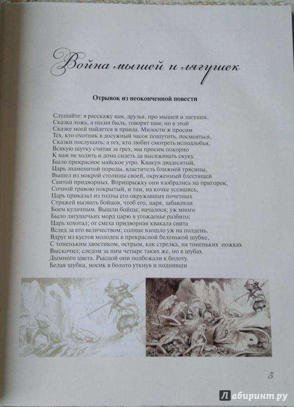 Иллюстрация 5 из 17 для Сказки и поэмы - Василий Жуковский | Лабиринт - книги. Источник: Спящая на ходу