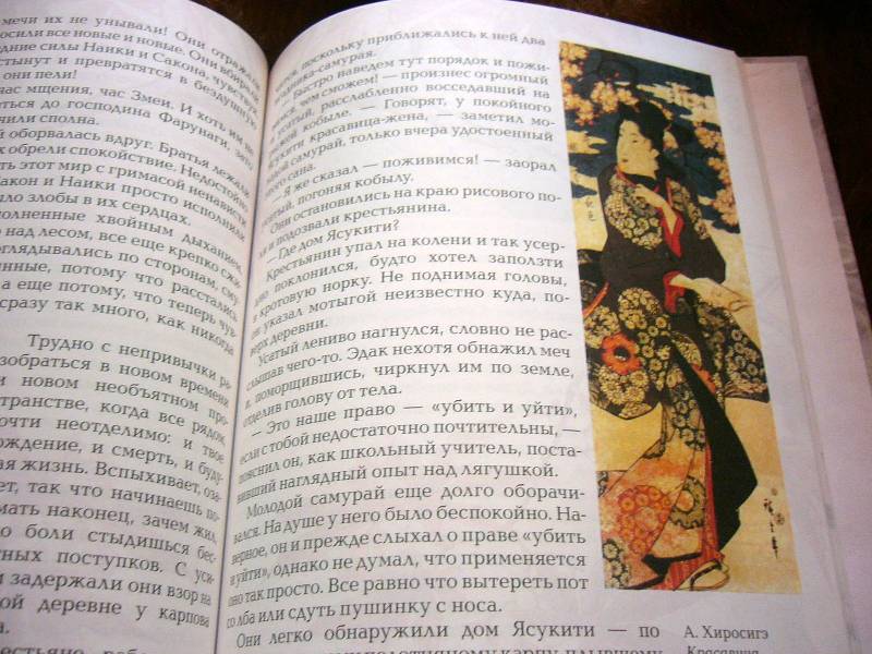 Иллюстрация 37 из 52 для Путь самурая - Александр Дорофеев | Лабиринт - книги. Источник: Nika