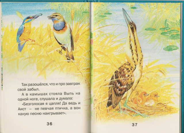 Иллюстрация 16 из 23 для Лесные сказки - Виталий Бианки | Лабиринт - книги. Источник: _Елена_