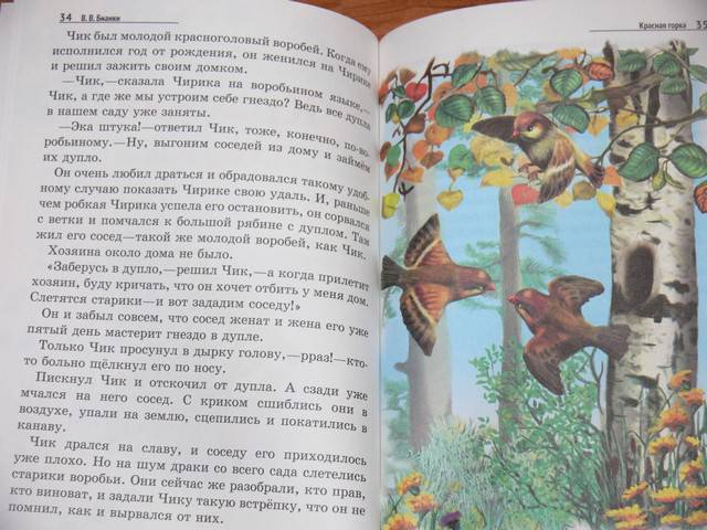 Иллюстрация 6 из 19 для Лесные домишки - Виталий Бианки | Лабиринт - книги. Источник: Irbis