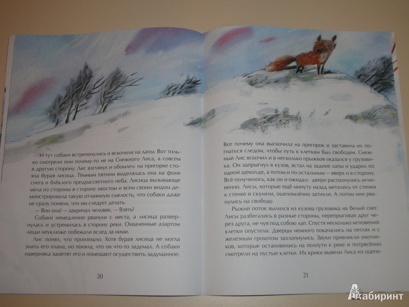 Иллюстрация 16 из 24 для Снежный лис - Екатерина Бибчук | Лабиринт - книги. Источник: Кирюшина  Татьяна Ивановна