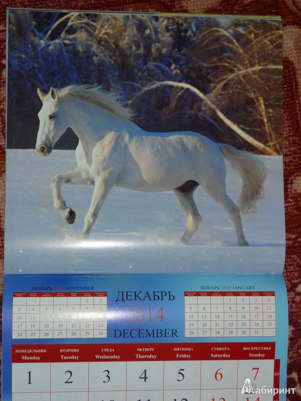 Иллюстрация 15 из 16 для Календарь 2014 "Год лошади" | Лабиринт - сувениры. Источник: Шубина  Диана Владимировна