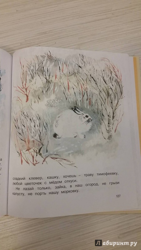 Иллюстрация 31 из 61 для Друзья - Евгений Чарушин | Лабиринт - книги. Источник: Newflashka