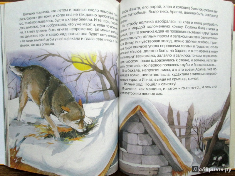 Иллюстрация 11 из 32 для Каштанка и другие рассказы - Антон Чехов | Лабиринт - книги. Источник: Зеленая шляпа