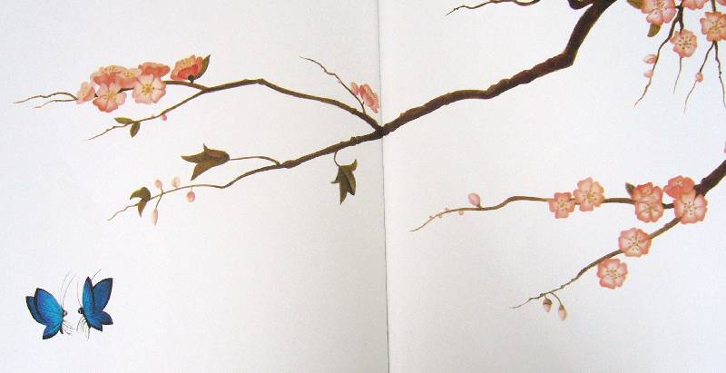 Иллюстрация 17 из 29 для Волшебные бабочки. Старинная сказка - Бенжамен Лакомб | Лабиринт - книги. Источник: Челла