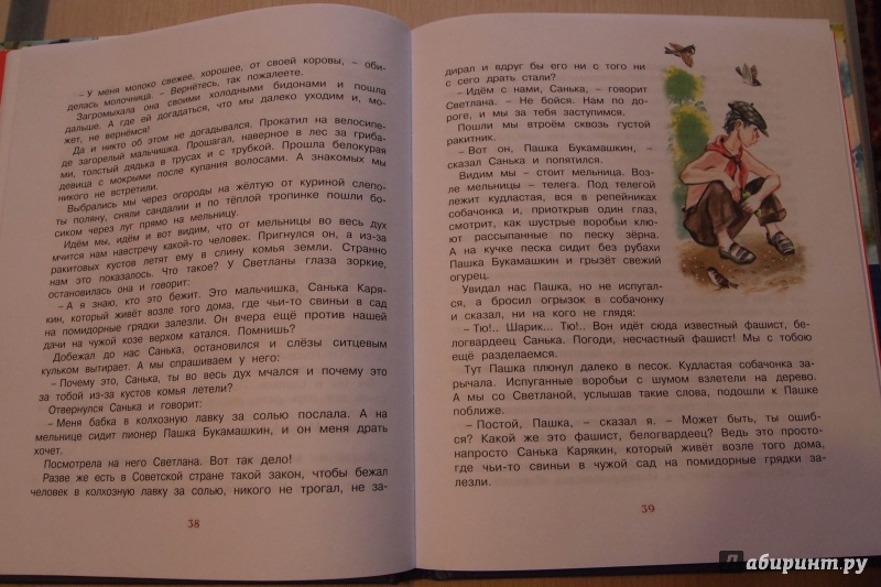 Иллюстрация 15 из 32 для Чук и Гек - Аркадий Гайдар | Лабиринт - книги. Источник: sveta_a13