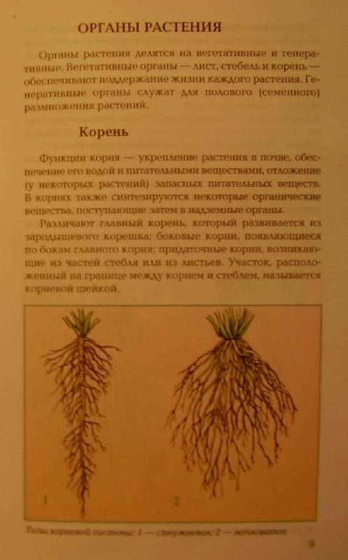 Иллюстрация 3 из 11 для Размножение растений - Т.В. Алдохина | Лабиринт - книги. Источник: july