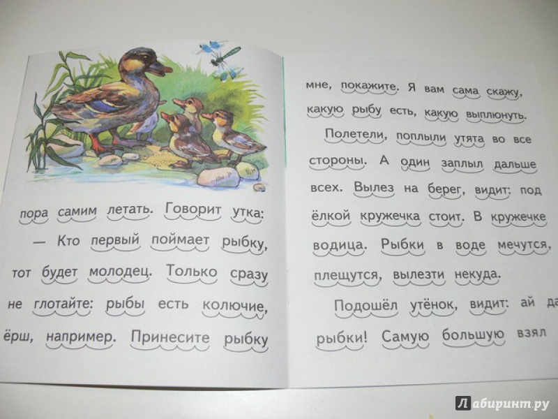 Иллюстрация 15 из 28 для Кружечка под ёлочкой - Борис Житков | Лабиринт - книги. Источник: Irbis