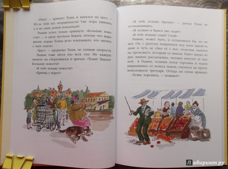 Иллюстрация 37 из 46 для Тузик, Рыжий и гости - Ян Грабовский | Лабиринт - книги. Источник: Агаточка