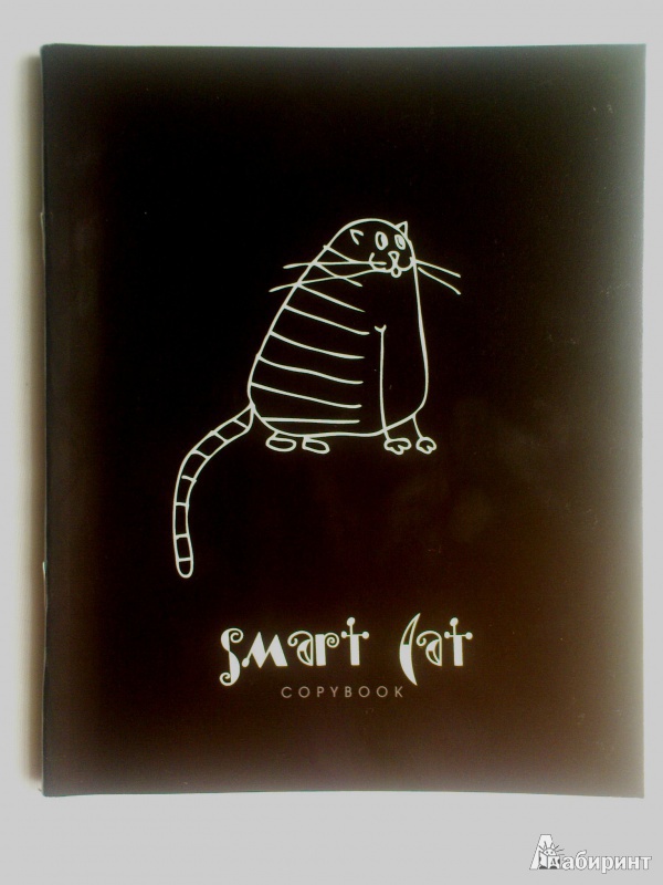 Иллюстрация 6 из 10 для Тетрадь 48 листов "Умный кот" (Smart cat), клетка, А5, в ассортименте (ТК2Л483773) | Лабиринт - канцтовы. Источник: mariaa