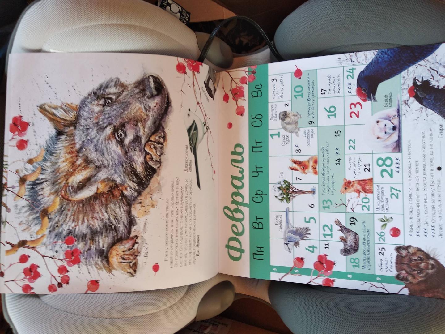 Иллюстрация 17 из 40 для Календарь настенный на 2019 год "Календарь живой природы" | Лабиринт - сувениры. Источник: Надежда