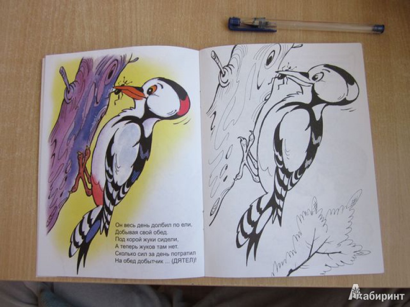 Иллюстрация 5 из 20 для Птичий обед - Юрий Чичев | Лабиринт - книги. Источник: Мeдвeдицa