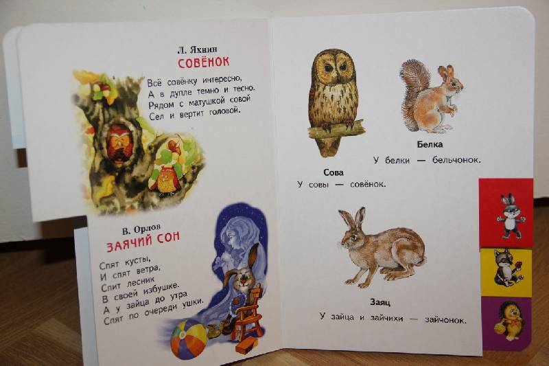 Иллюстрация 5 из 9 для Лесные животные в стихах и картинках | Лабиринт - книги. Источник: Vilvarin  Laurea