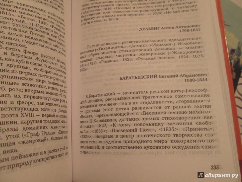 Иллюстрация 33 из 38 для Стихи и стихия. Природа в русской поэзии, XVIII- XX вв. - Михаил Эпштейн | Лабиринт - книги. Источник: NiNon