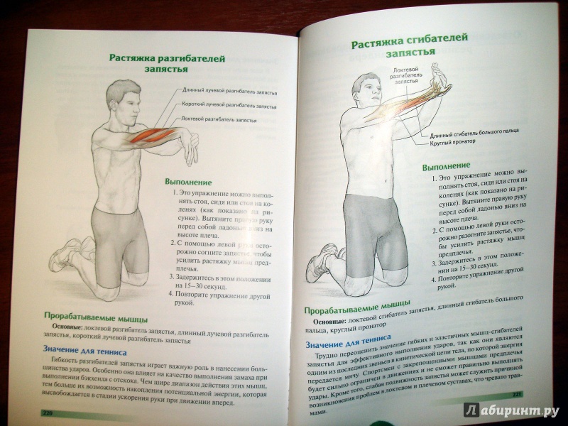 Иллюстрация 16 из 16 для Анатомия тенниса - Роутер, Ковач | Лабиринт - книги. Источник: Kassavetes
